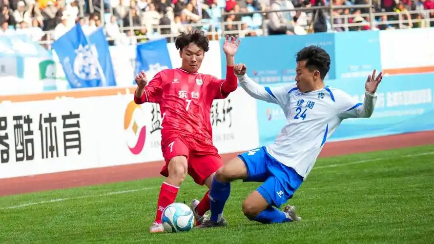 雨燕直播足球免费